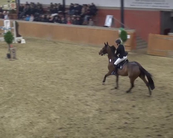 Junior Open Lobberich 2015