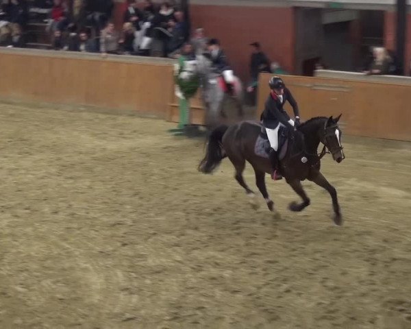 Junior Open Lobberich 2015