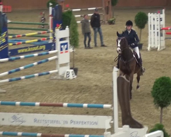 Junior Open Lobberich 2015