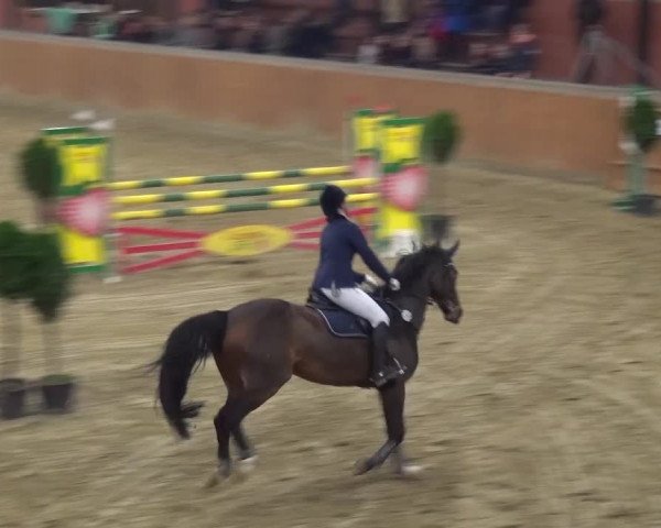 Junior Open Lobberich 2015