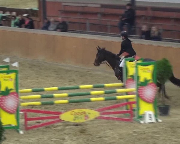 Junior Open Lobberich 2015