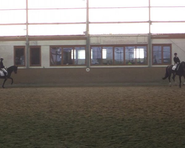 Reitturnier Appelhülsen 2015