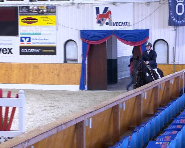 Hallenchampionat Vechta 2015