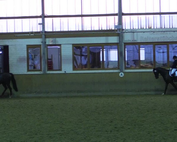 Reitturnier Appelhülsen 2015