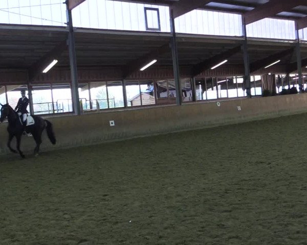 Reitturnier Appelhülsen 2015