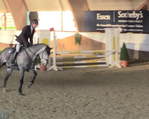 Reitturnier Essen-Stadtwald 2015