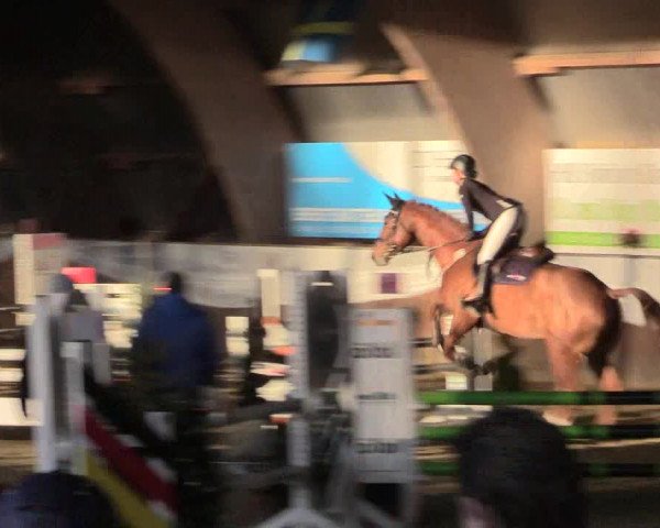 Reitturnier Essen-Stadtwald 2015