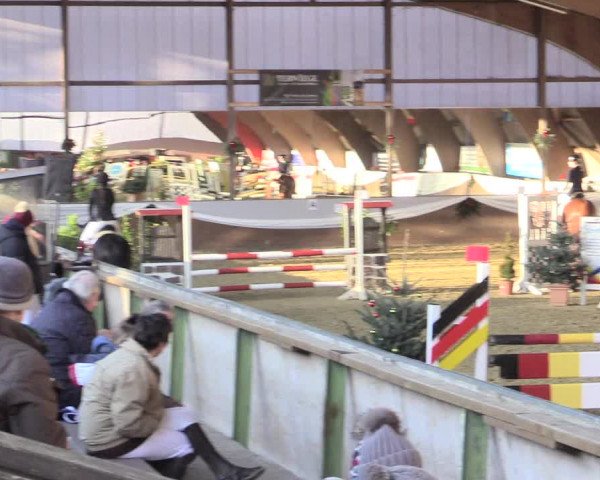 Reitturnier Essen-Stadtwald 2015