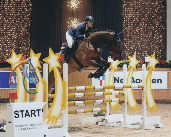 jumper Carras 4 (Holsteiner, 2010, from Carrico)