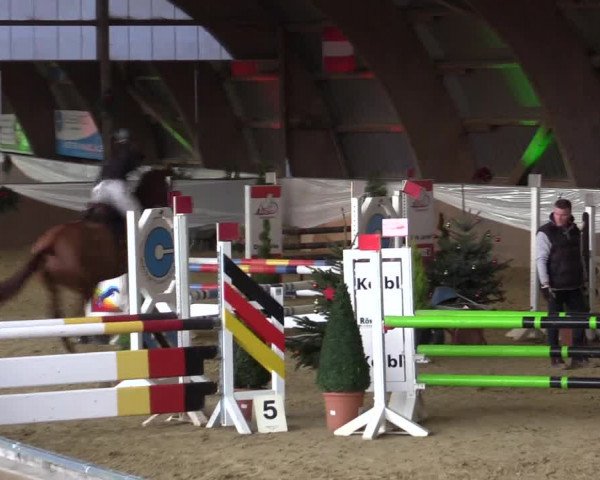 Reitturnier Essen-Stadtwald 2015