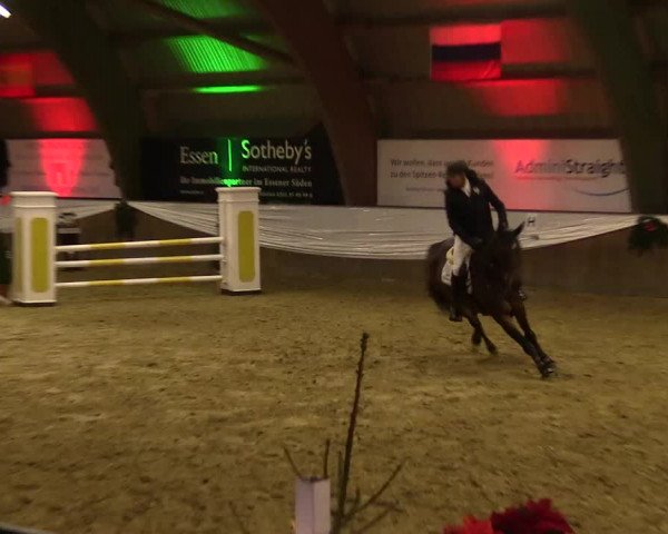 Reitturnier Essen-Stadtwald 2015