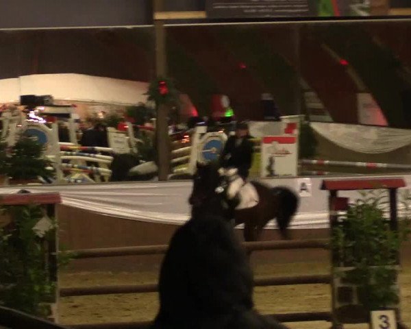 Reitturnier Essen-Stadtwald 2015