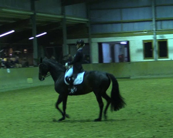 Reitturnier Appelhülsen 2015