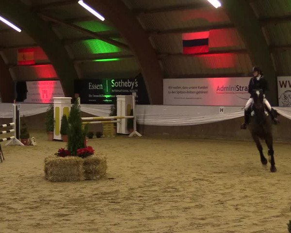 Reitturnier Essen-Stadtwald 2015