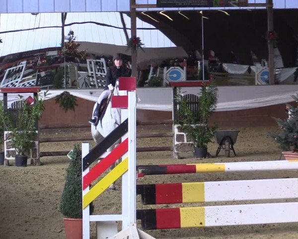 Reitturnier Essen-Stadtwald 2015