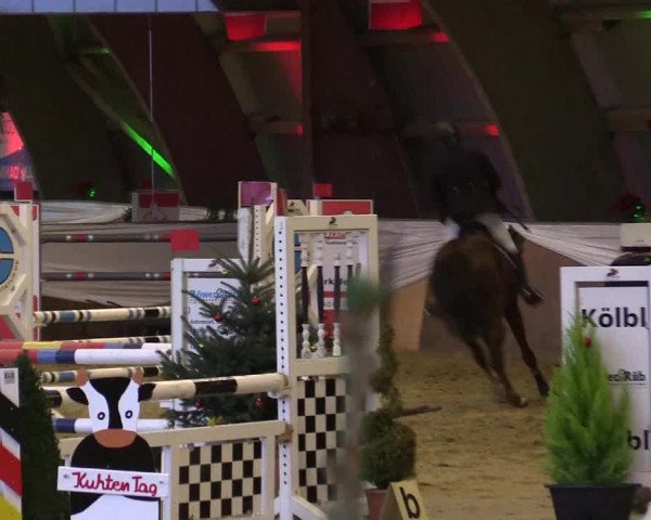 Reitturnier Essen-Stadtwald 2015