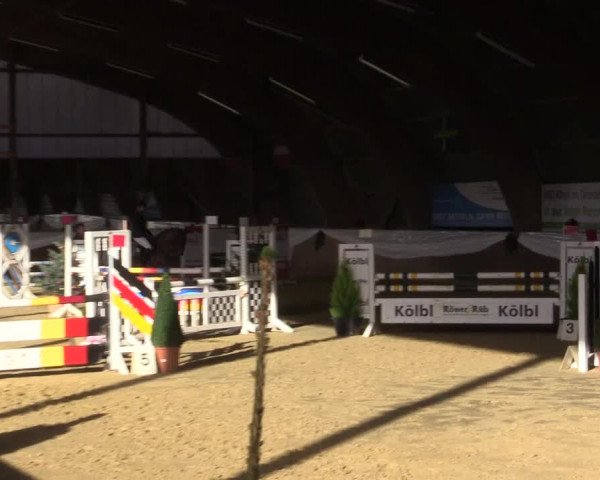 Reitturnier Essen-Stadtwald 2015