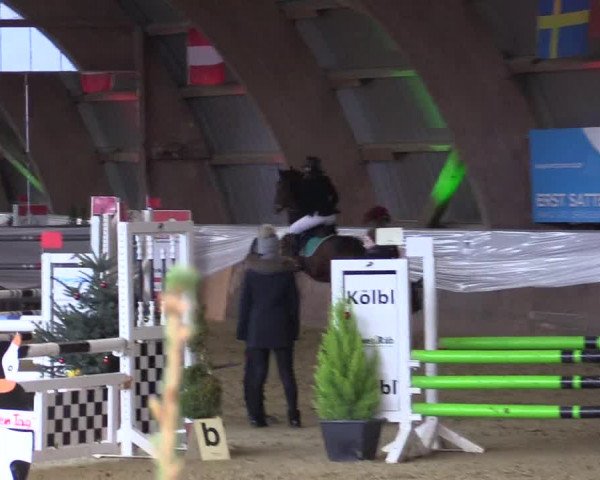 Reitturnier Essen-Stadtwald 2015