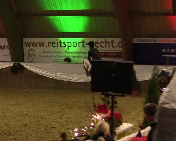 Reitturnier Essen-Stadtwald 2015