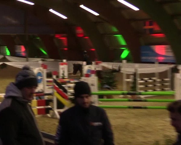 Reitturnier Essen-Stadtwald 2015