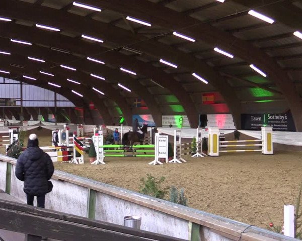 Reitturnier Essen-Stadtwald 2015
