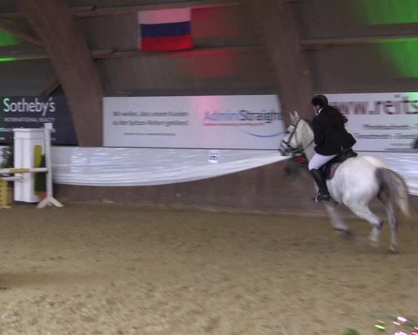 Reitturnier Essen-Stadtwald 2015