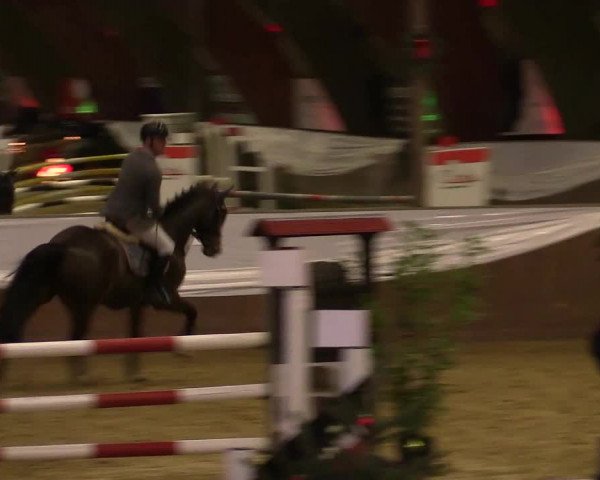 Reitturnier Essen-Stadtwald 2015