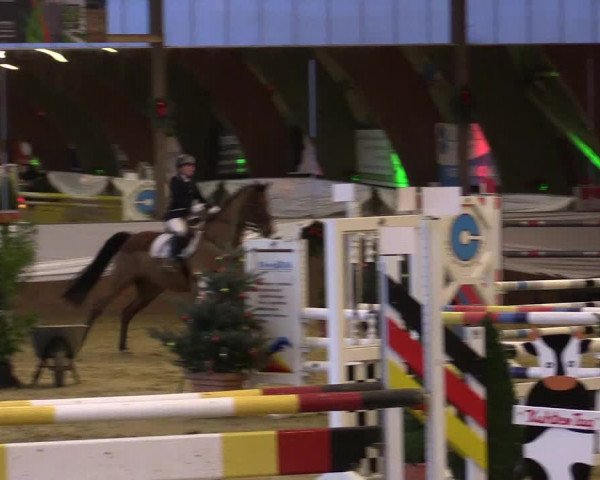 Reitturnier Essen-Stadtwald 2015