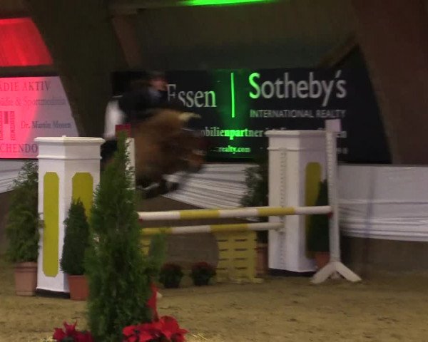 Reitturnier Essen-Stadtwald 2015