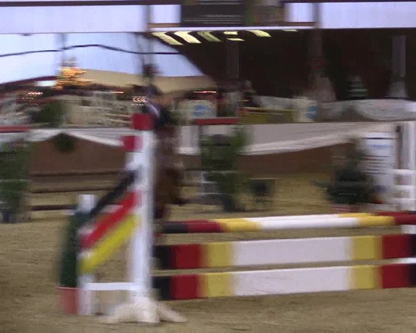 Reitturnier Essen-Stadtwald 2015