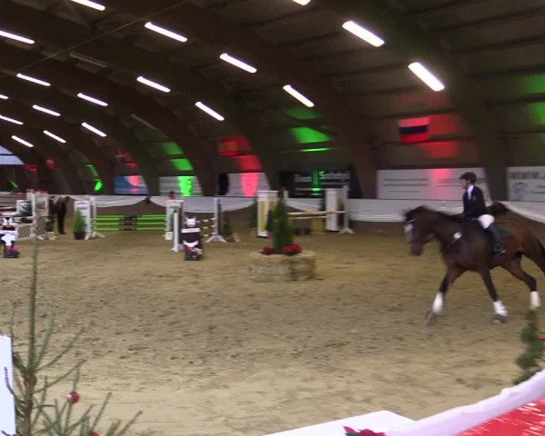Reitturnier Essen-Stadtwald 2015