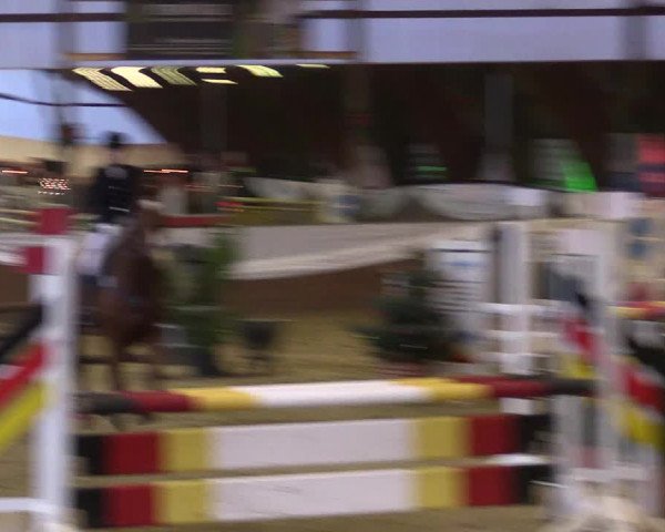 Reitturnier Essen-Stadtwald 2015