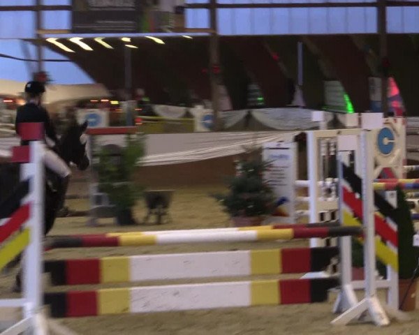 Reitturnier Essen-Stadtwald 2015