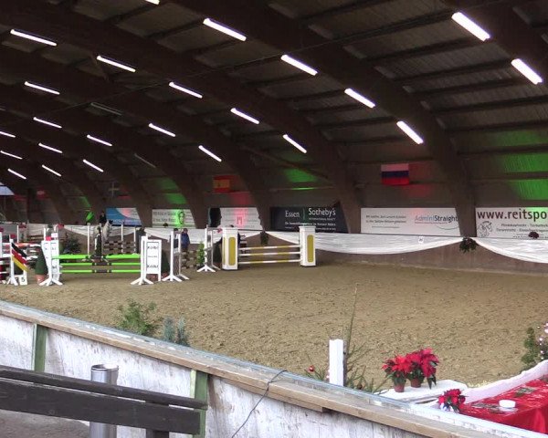 Reitturnier Essen-Stadtwald 2015
