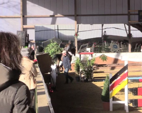 Reitturnier Essen-Stadtwald 2015