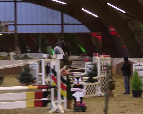 Reitturnier Essen-Stadtwald 2015
