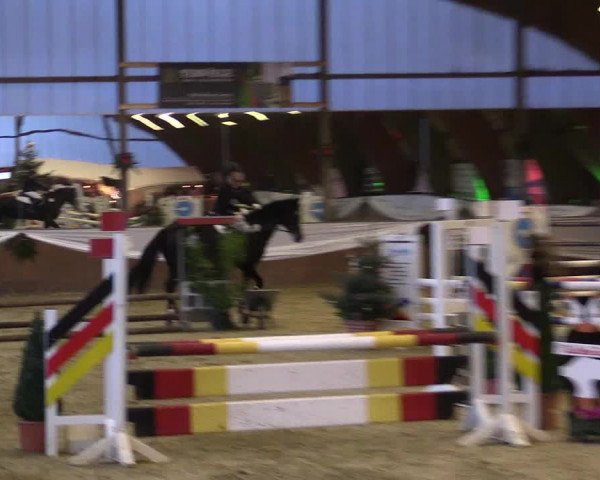 Reitturnier Essen-Stadtwald 2015