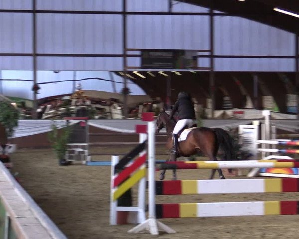 Reitturnier Essen-Stadtwald 2015