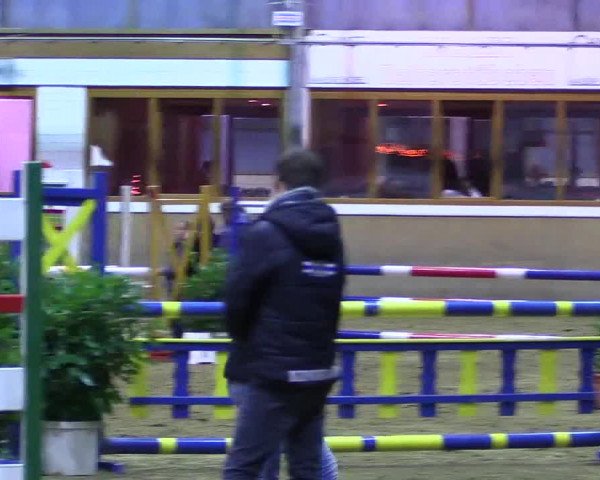Reitturnier Appelhülsen 2015