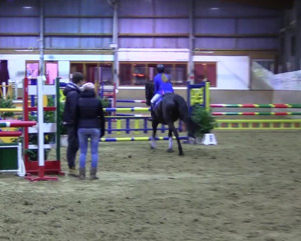 Reitturnier Appelhülsen 2015
