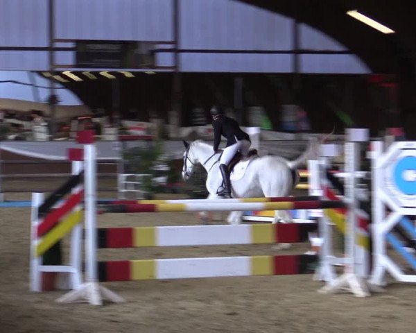 Reitturnier Essen-Stadtwald 2015