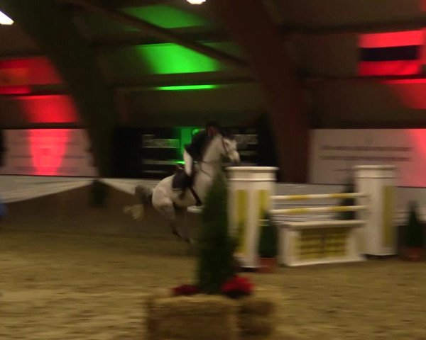 Reitturnier Essen-Stadtwald 2015