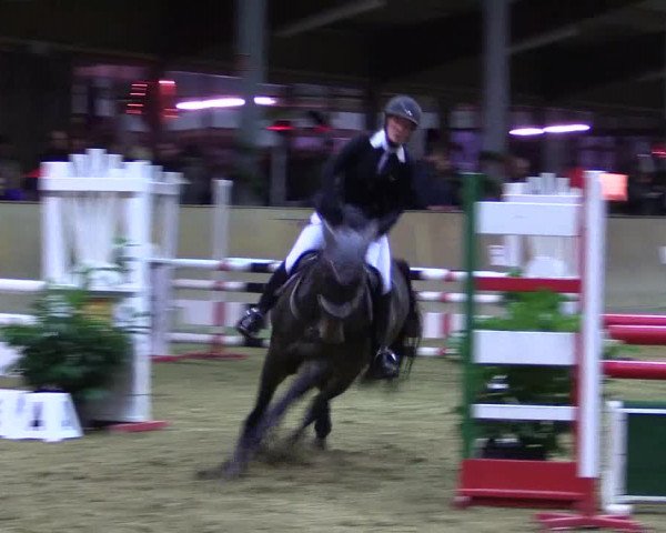 Reitturnier Appelhülsen 2015