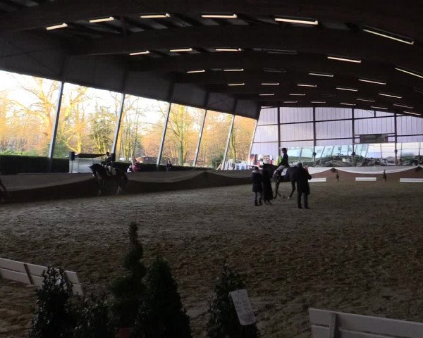 Reitturnier Essen-Stadtwald 2015