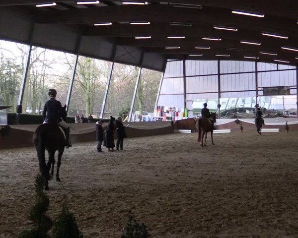 Reitturnier Essen-Stadtwald 2015