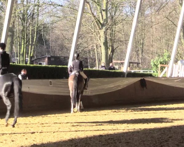 Reitturnier Essen-Stadtwald 2015