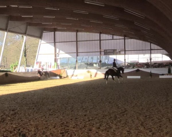 Reitturnier Essen-Stadtwald 2015