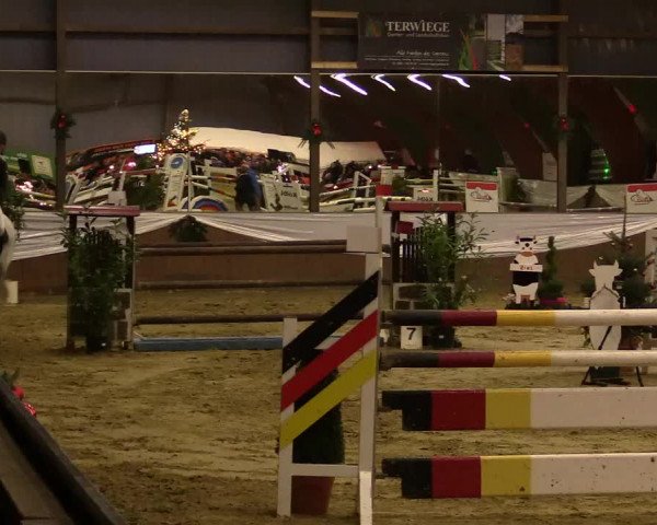 Reitturnier Essen-Stadtwald 2015