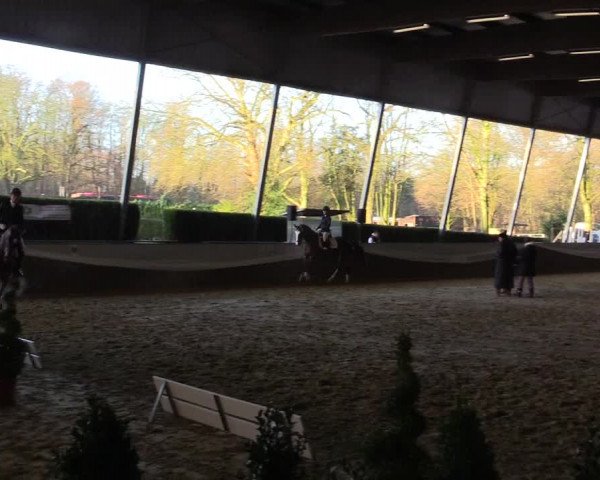 Reitturnier Essen-Stadtwald 2015