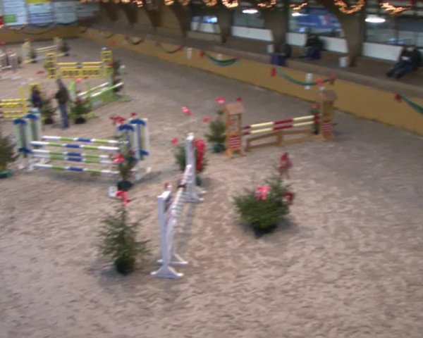 Reitturnier Leck 2015